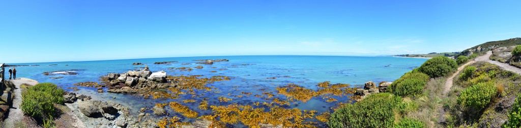 86_AnotherPanoramicOfShagPoint