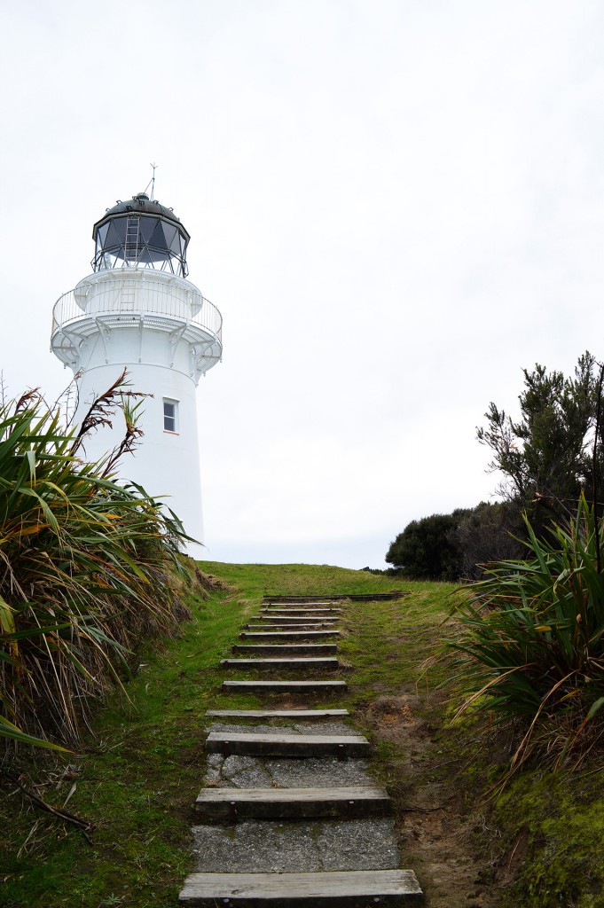 Top of the Lighthouse path