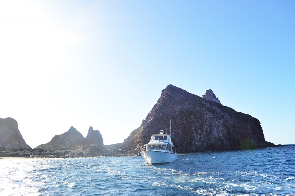 White Island from our boat