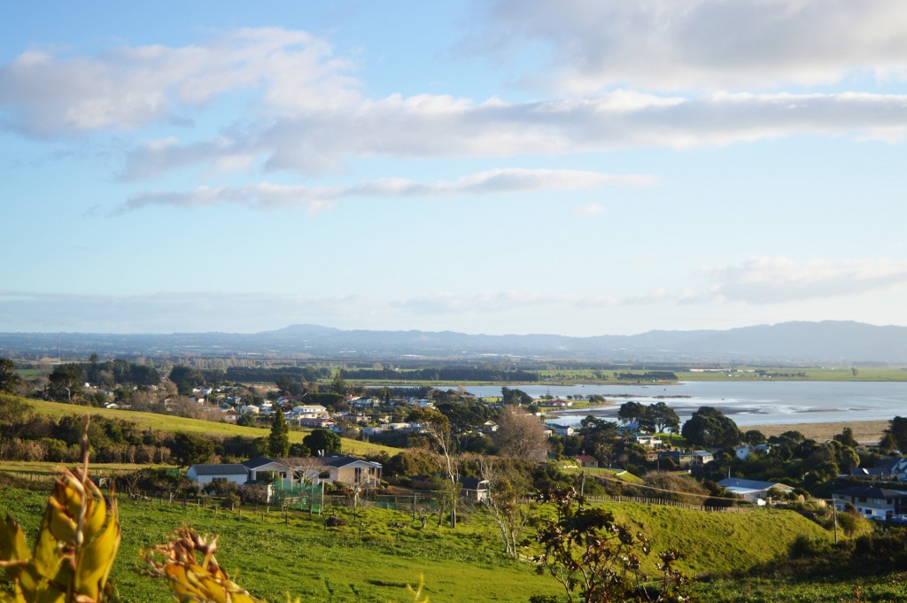 A landscape of Maketu